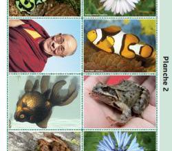 La biodiversité