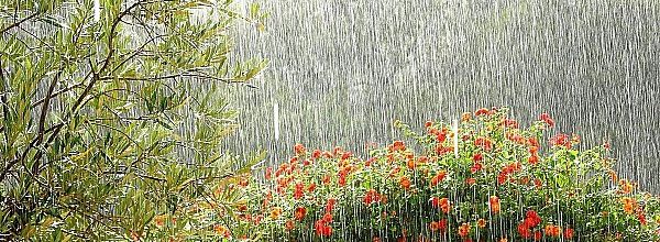 ORAGE D'ETE EN PROVENCE