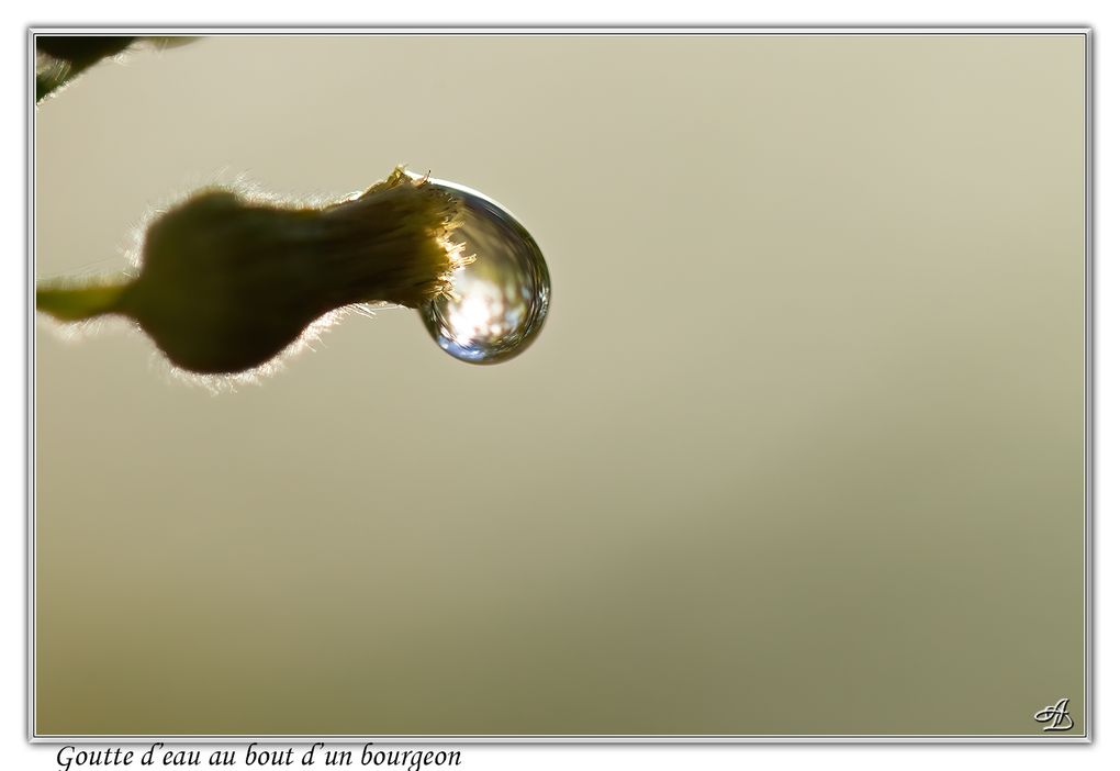 02 - Gouttes d'eau