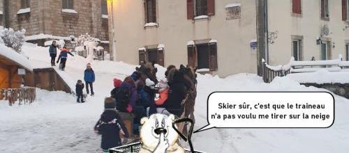 Les aventures des banquisards 