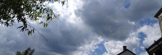 Des nuages, des abeilles et des fleurs
