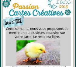 Passion Cartes Créatives#582 !
