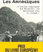 Télécharger des ebooks sur iphone gratuitement Les amnésiques 9782081484672 en francais