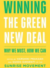 Read online: Winning the Green New Deal: Why We Must, How We Can