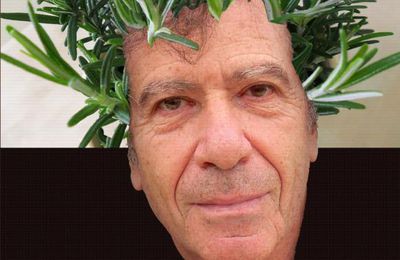 ALAIN VEINSTEIN VERS L'ABSENCE DE SOUTIEN