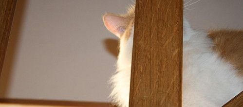 Pas de photos !!!
