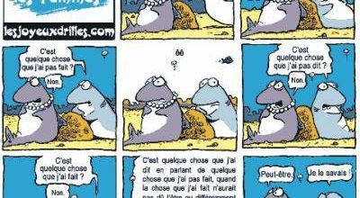 Savoir comprendre les femmes