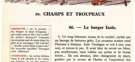 Dumas CM S20 Champs et troupeaux