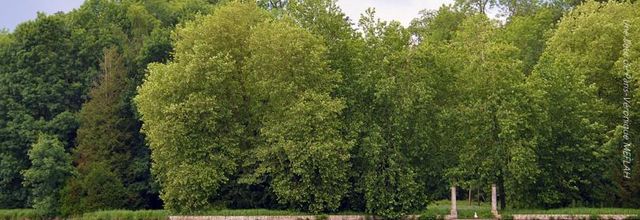 Rambouillet : L'Orage