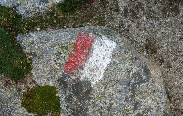 "Des nouvelles du GR 20"