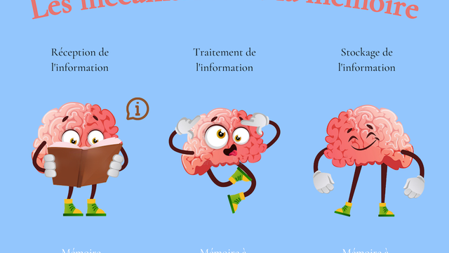 Comment mémoriser mieux ?