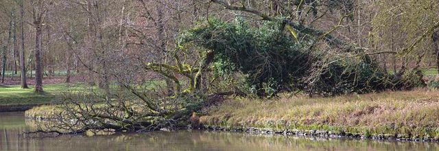 Rambouillet : "Couleurs d'Hiver"