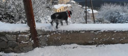 L'hiver est arrivé
