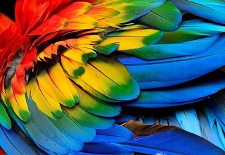 Les couleurs ... 
