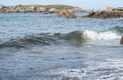 29 ... (et plus) :De vagues en vagues 