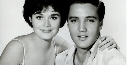 photo ELVIS 