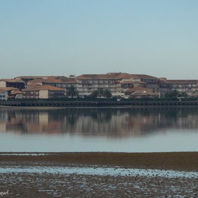 Une balade autour du Lac de VIEUX BOUCAU (40), le 18 janvier (suite)...