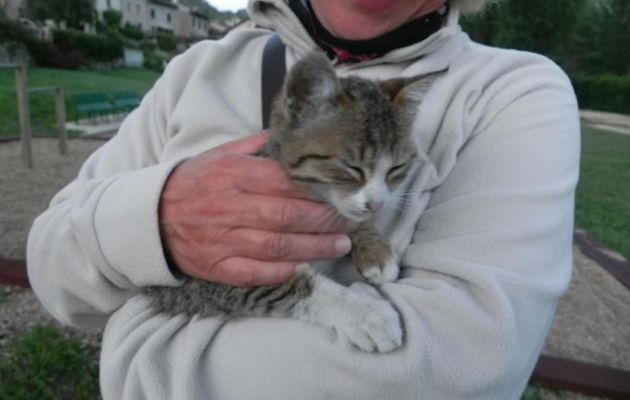 un gentil minou ! 