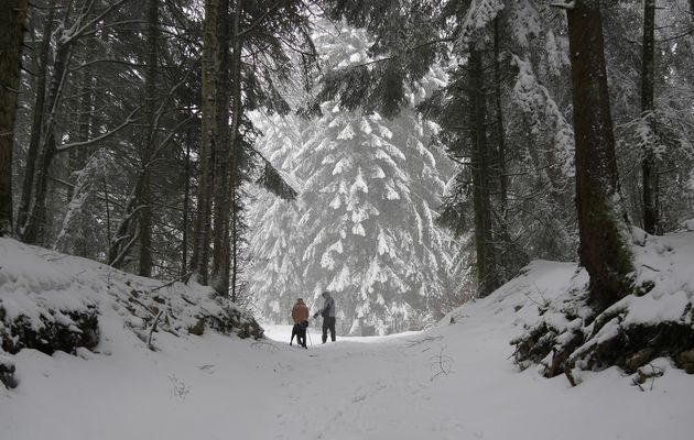 Le 15 février : Cathédrale naturelle