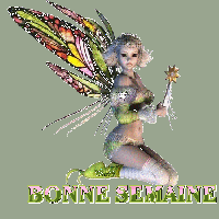 LES RONDS DE SORCIERES
