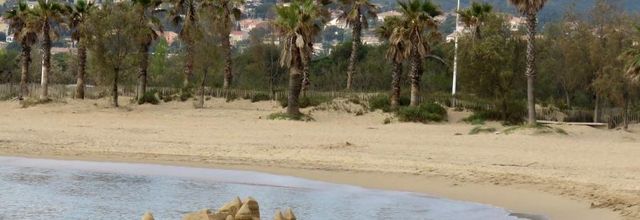 Aygulf plage - Var (83) -2