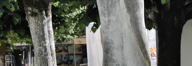 Fresques et statues de Coïmbra - Portugal 2017