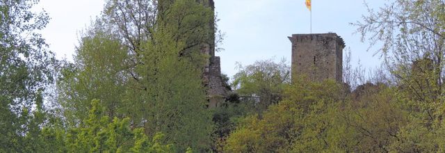 rapaces à Beaucens  (65)