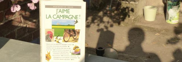 Ville ou campagne?