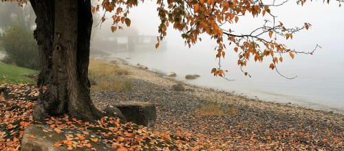 Automne...