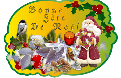 bonjour a toutes et tous