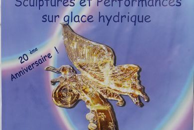 20ème concours de sculpture sur glace à Andernos : quelques oeuvres...