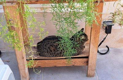 Vos participations aux objets en bois, suite 2.