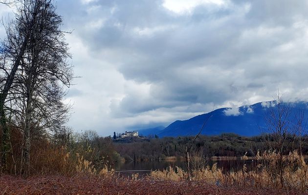 Le 7 mars 2024 : Le château de la Belle au bois dormant