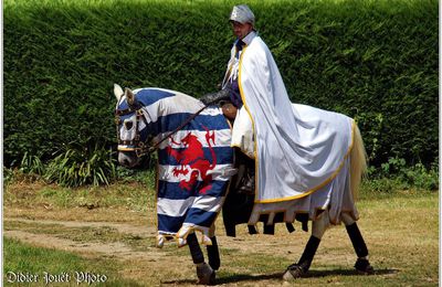 Médiévales de Commequiers 2015 (2) - Le Tournoi des Chevaliers
