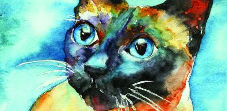 Tableau de chat : Siamois de Christy
