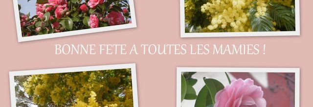 BONNE FETE A TOUTES LES MAMIES !
