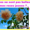 On ne rate pas l'humour du mercredi chez les "Tiot".