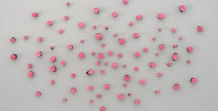 Jill Vasileff / Pink Hum 2011