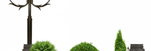 Ѽ Vegetation