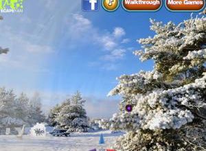 Return to winter forest