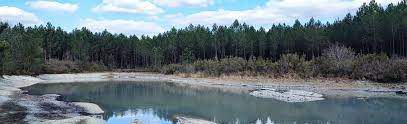 Marche BONUS / mercredi 13 sept - Forêt de MIGELANE