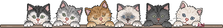 Rencontre (2) avec................des chats