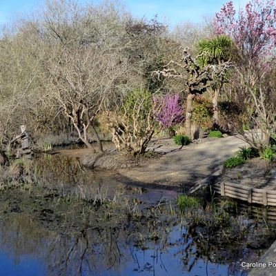 *Le printemps s'annonce*