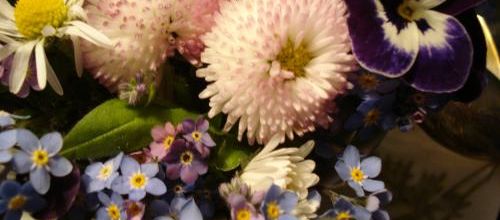 une tisane pour Chantilly