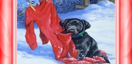 Comment préparer votre chien à l'hiver ?
