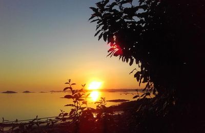 Solstice 