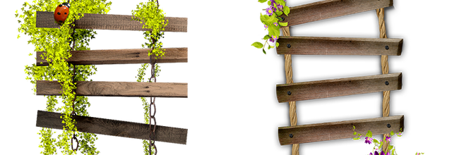 ѼVegetation