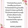 Dicton et Fête du jour Rose + grille prénom !