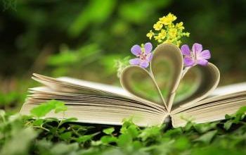 PIQUE-NIQUE LITTÉRAIRE 26 mai 2013