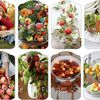 Les Pommes ! cartonnettes 2018